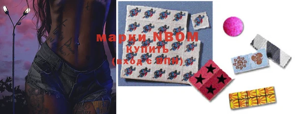 индика Каменка