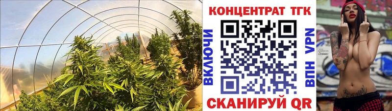 ТГК гашишное масло  купить наркотик  Починок 