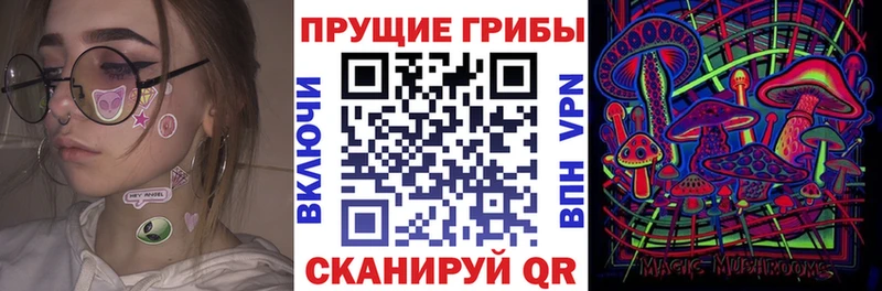 mega tor  Починок  Псилоцибиновые грибы Psilocybine cubensis 